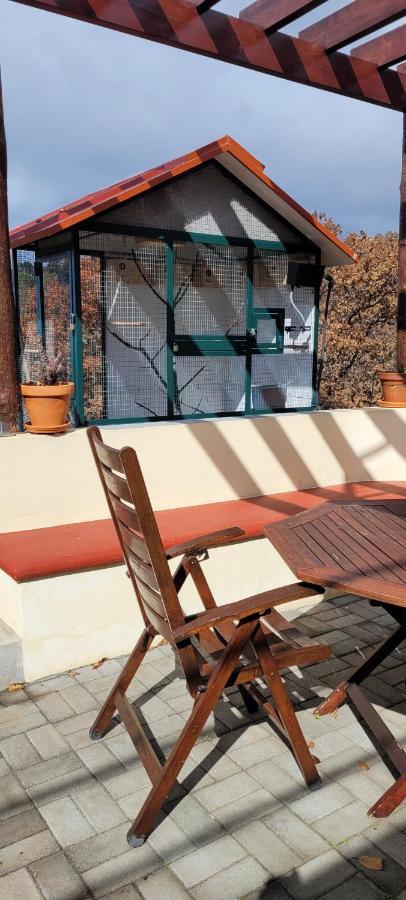 Sunset Refuge Apartment Fajã da Ovelha Exterior foto